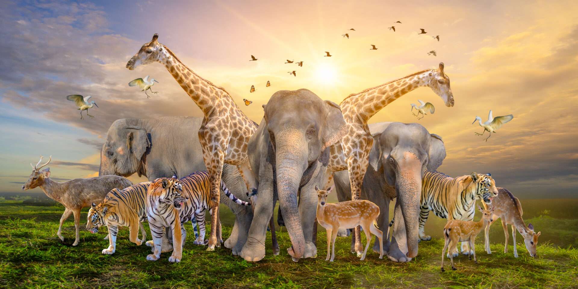 キリンや他の動物の群れが野生で歩き回っています。
