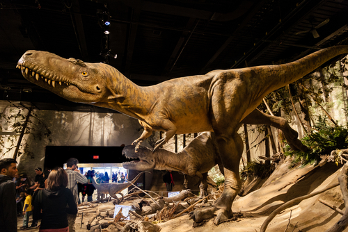英語で 恐竜 は カナダで恐竜の化石に触れる 会話で学ぶ英語表現
