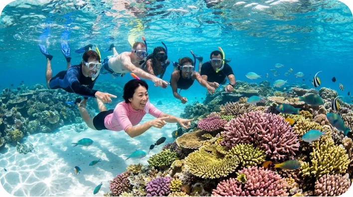 透明な青い海でシュノーケリングをしながら美しいサンゴ礁を指差す観光客たち