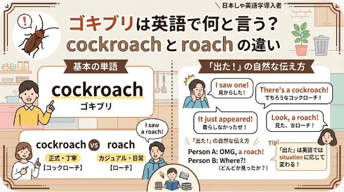 英語の「cockroach」と「roach」という単語について、日本語訳や例文、ゴキブリを見つけたときの会話例を解説したインフォグラフィック。.