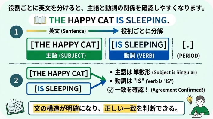 英文カードを主語、be動詞、形容詞、一般動詞の役割ごとに整理する学習者の手元
