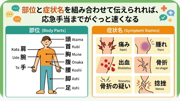 スポーツ施設のベンチで日本人学習者が自分の足首を指さし、トレーナーがクリップボードを持って話を聞いている様子